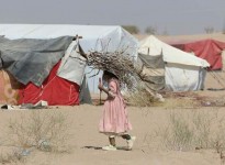 نزوح 370 أسرة يمنية خلال يناير الماضي 
