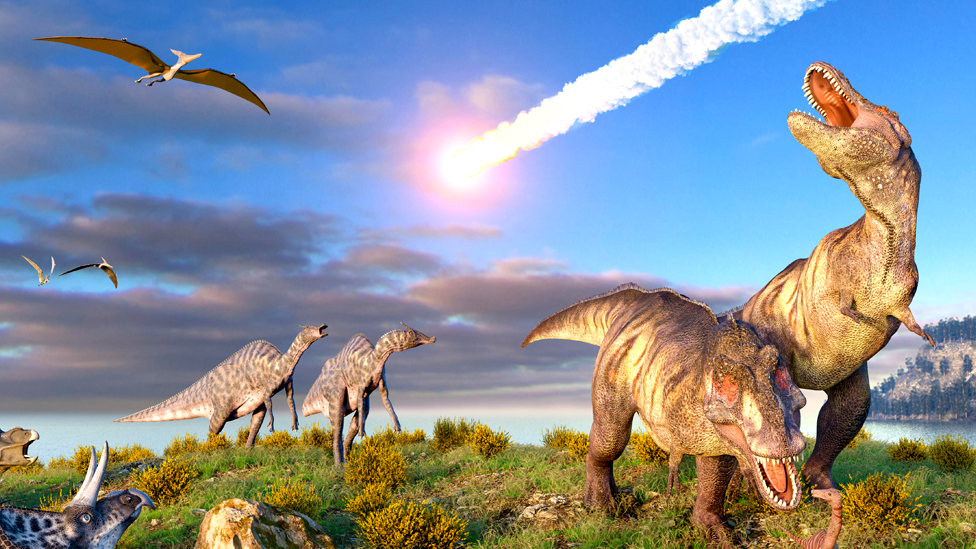 تغير المناخ وليس النيزك سبب انقراض الديناصورات