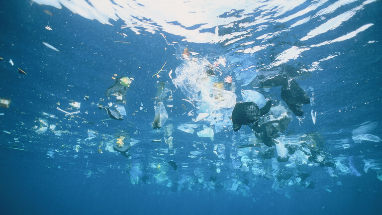 اكتشاف بكتيريا نادرة تأكل الملوثات البلاستيكية بشكل فعال