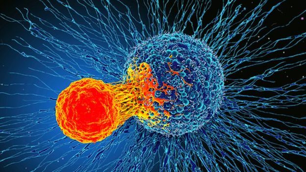 اكتشاف ثوري .. تحديد آلية اختباء الخلايا السرطانية في مراحلها المبكرة