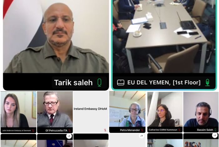 طارق صالح لسفراء الاتحاد الأوروبي: دعم الشرعية كفيل بإنهاء إرهاب الحوثي للملاحة الدولية