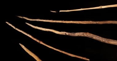 تحليل أسلحة صيد عمرها 300 ألف عام يكشف تقنيات صناعة الأخشاب قديما 