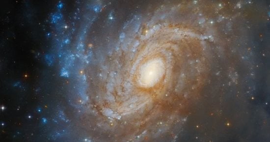 تلسكوب هابل يرصد مجرة لامعة تنبثق من خلف سديم مظلم